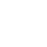 Vanilla JS